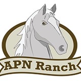 Apenimon Ranch - Other in Gatesville