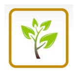 Scapes Inc - Landscape Architects in Dallas