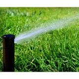 Bill Dunlop Lawn Service - Lawn Services in Dallas