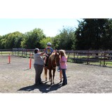 Heavenly Hooves Therapeutic & Recreational Riding Center - Other in Farmersville