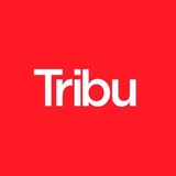 Tribu - Advertising in San Antonio