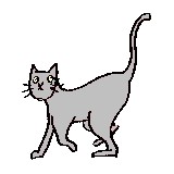 Affordable Cat Fence CO - Pet Stores in San Antonio