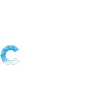 Construction Concepts - Home Builders & Building Contractors in Dallas