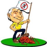 Green Guard Pest Control - Pest Control in Frisco