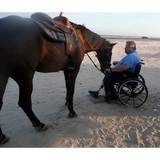 Beach Bum Horse Rides - Other in Freeport