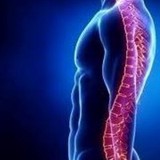 Traxler Chiropractic - Chiropractors in Rowlett