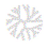 Bare Roots Landscape Solutions Inc. - Landscaping in Dallas