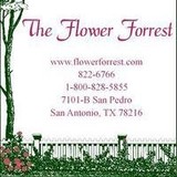 Flower Forrest - Florists in San Antonio