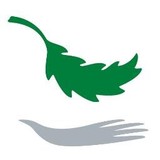 Sage Care Management - Elderly Services & Elderly Care in San Antonio