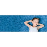 Dry Master Carpet Inc - Carpet Cleaning in Richardson