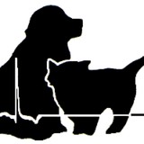 Veterinary Emergency & Crtcl - Veterinarians/Vets in San Antonio