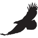 Canyon of the Eagles - Other in Burnet