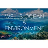 E W Wells Group LLC - Demolition Services in Dallas