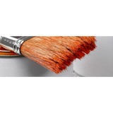 Alamo Painting Specialists - Painters & Decorators in San Antonio