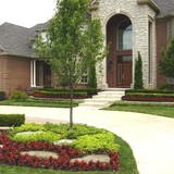 MLC Services - Lawn Services in Allen