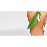 Foster Chiropractic - Chiropractors in Irving