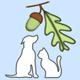 Powell Clint DVM - Veterinarians/Vets in San Antonio