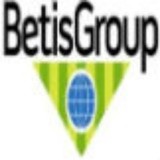 Betis Group Inc - Computers in San Antonio