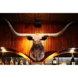 Main Street Pub - Restaurants in Gainesville