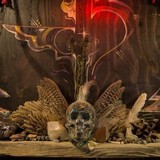 Temple Vision - Contact Lenses in Temple