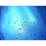 Garrison Plumbing Services - Plumbing in Frisco