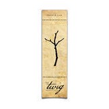 Twig Book Shop - Bookstores/Bookshops in San Antonio