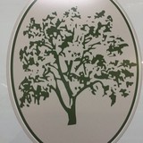 Superior Treescapes LLC - Landscape Architects in Dallas