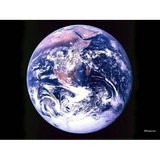 Rudi Steele Travel Inc - Travel Agents in Dallas