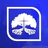 Tree Of Life Church - Churches in New Braunfels