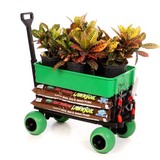 Mighty Max Cart LLC - Other in Jacksonville