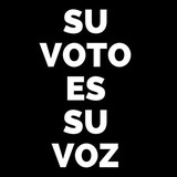Southwest Voter Registration - Educational Services in San Antonio