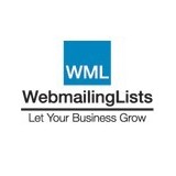 Web Mailing Lists - Business Consulting in Irving