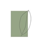 David Rolston Inc - Landscape Architects in Dallas