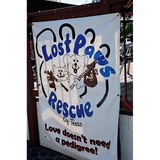 Lost Paws Rescue Of Texas - Pet Services in Irving