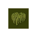 Woodson Cindy K DDS - Orthodontists in Plano