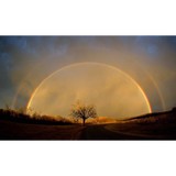 Aperfecttree.com - Tree Services in Dallas