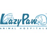Lazy Paw Animal Hospitals - Hospitals in Frisco