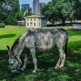 Dallas Heritage Village - Gift Shops in Dallas