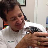 Woolley Michael O DVM - Veterinarians/Vets in San Antonio