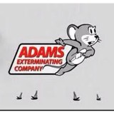 Adams Exterminating CO - Pest Control in Gainesville