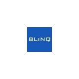Blinq Networks Inc - Data Processing Services in Plano