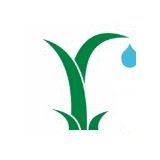Rainwater Landscaping - Landscaping in Plano