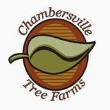 Chambersville Tree Farm - Other in Celina