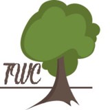 Teak Wood Central - Other in Valley View