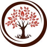 A Cut Above Tree & Landscaping - Landscaping in San Antonio