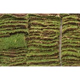 Greener Pastures - Landscape Architects in Dallas