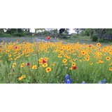 Rustic Oaks Park - Mobile Home Dealers in San Antonio