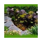 Safari Tree Care - Tree Services in Dallas