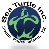 Sea Turtle Inc - Other in South Padre Island