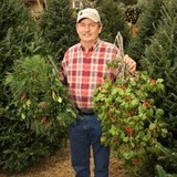 S&S Tree Services - Landscaping in Garland